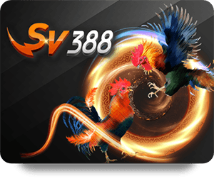 12BET Bóng Đá Pro: Phân Tích Đánh Giá Từ Người Chơi